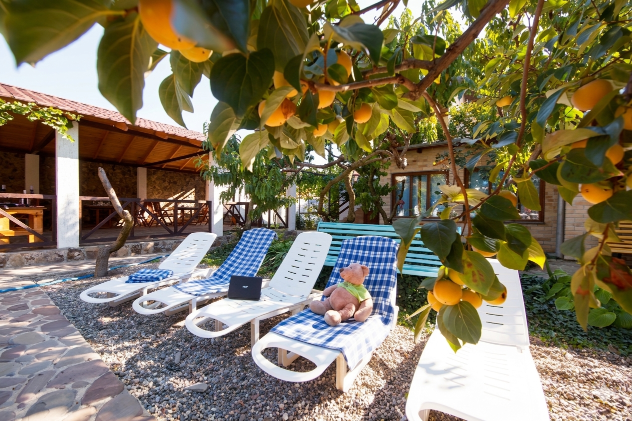 Сад и зона отдыха